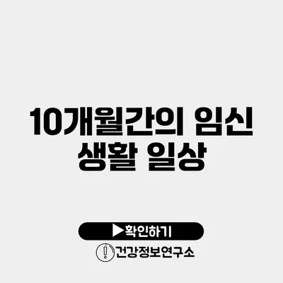 10개월간의 임신 생활 일상