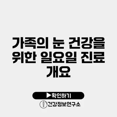 가족의 눈 건강을 위한 일요일 진료 개요