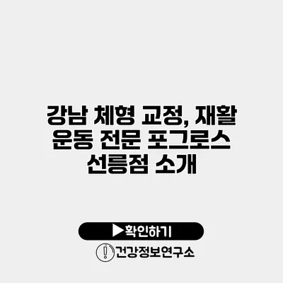 강남 체형 교정, 재활 운동 전문 포그로스 선릉점 소개