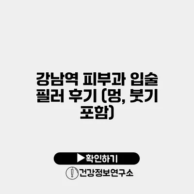 강남역 피부과 입술 필러 후기 (멍, 붓기 포함)