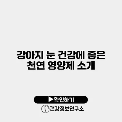 강아지 눈 건강에 좋은 천연 영양제 소개