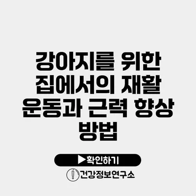 강아지를 위한 집에서의 재활 운동과 근력 향상 방법