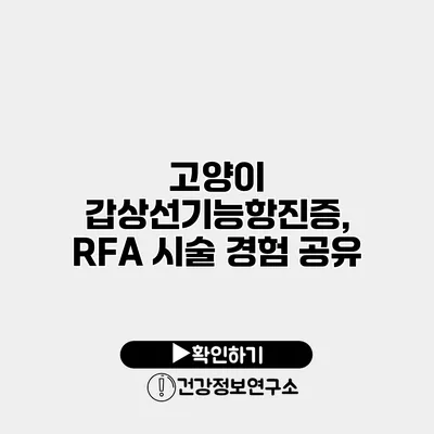 고양이 갑상선기능항진증, RFA 시술 경험 공유