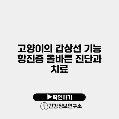 고양이의 갑상선 기능 항진증 올바른 진단과 치료