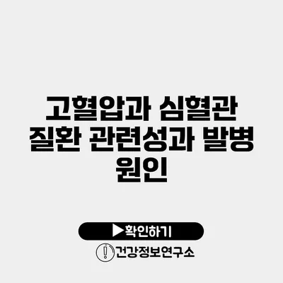 고혈압과 심혈관 질환 관련성과 발병 원인