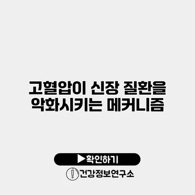 고혈압이 신장 질환을 악화시키는 메커니즘