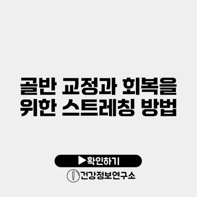 골반 교정과 회복을 위한 스트레칭 방법