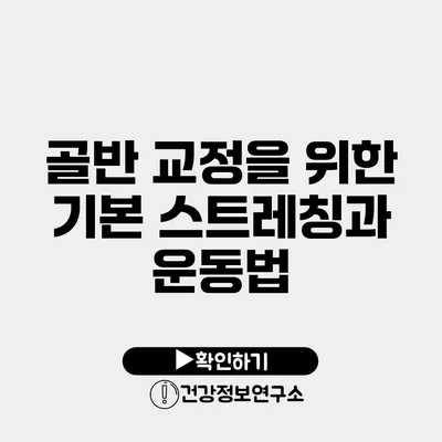 골반 교정을 위한 기본 스트레칭과 운동법