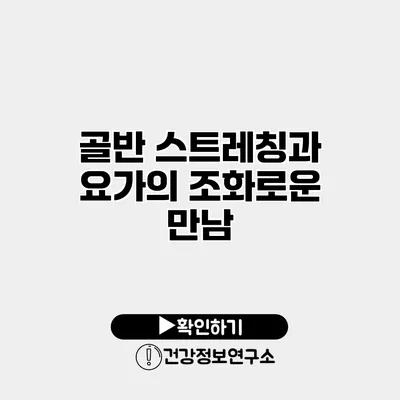 골반 스트레칭과 요가의 조화로운 만남