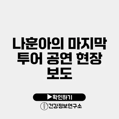 나훈아의 마지막 투어 공연 현장 보도