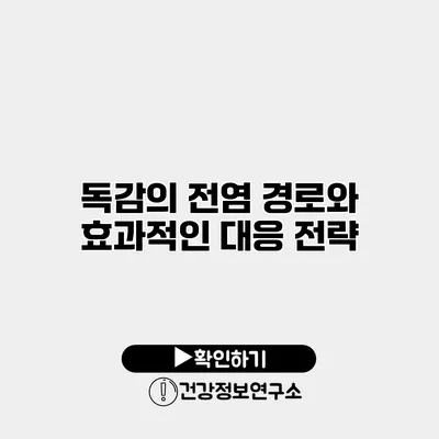 독감의 전염 경로와 효과적인 대응 전략