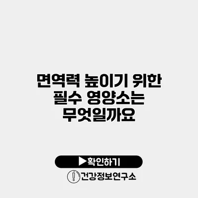 면역력 높이기 위한 필수 영양소는 무엇일까요?