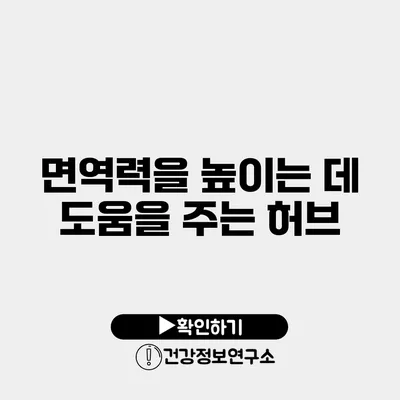 면역력을 높이는 데 도움을 주는 허브
