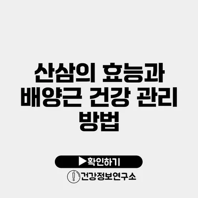 산삼의 효능과 배양근 건강 관리 방법