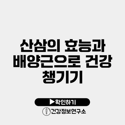 산삼의 효능과 배양근으로 건강 챙기기