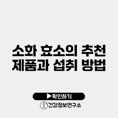 소화 효소의 추천 제품과 섭취 방법