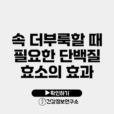 속 더부룩할 때 필요한 단백질 효소의 효과