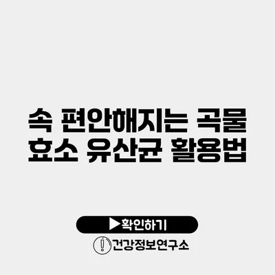 속 편안해지는 곡물 효소 유산균 활용법