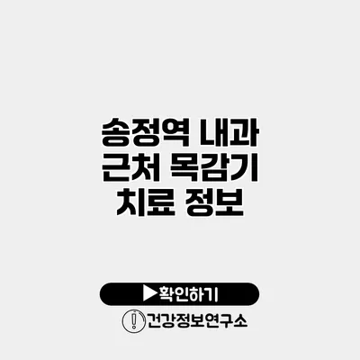 송정역 내과 근처 목감기 치료 정보