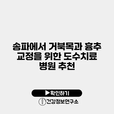 송파에서 거북목과 흉추 교정을 위한 도수치료 병원 추천