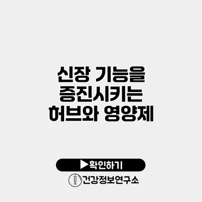 신장 기능을 증진시키는 허브와 영양제