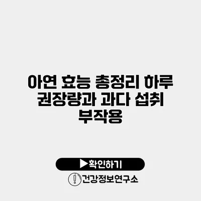 아연 효능 총정리 하루 권장량과 과다 섭취 부작용