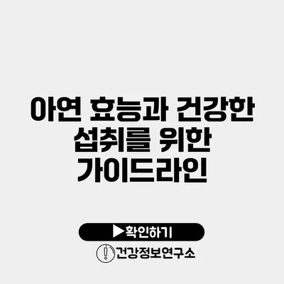 아연 효능과 건강한 섭취를 위한 가이드라인