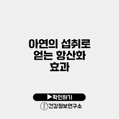 아연의 섭취로 얻는 항산화 효과