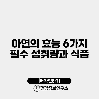 아연의 효능 6가지 필수 섭취량과 식품