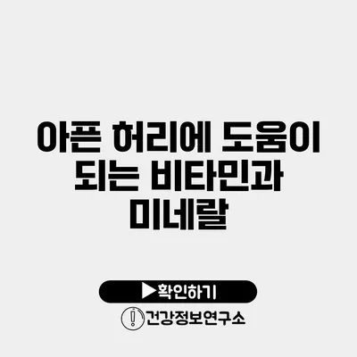 아픈 허리에 도움이 되는 비타민과 미네랄