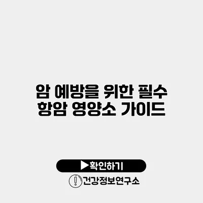 암 예방을 위한 필수 항암 영양소 가이드