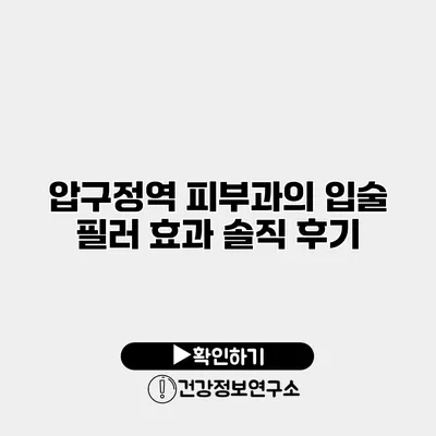 압구정역 피부과의 입술 필러 효과 솔직 후기