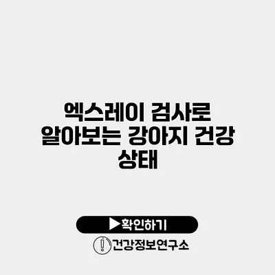 엑스레이 검사로 알아보는 강아지 건강 상태