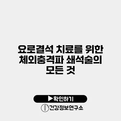 요로결석 치료를 위한 체외충격파 쇄석술의 모든 것