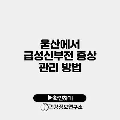 울산에서 급성신부전 증상 관리 방법