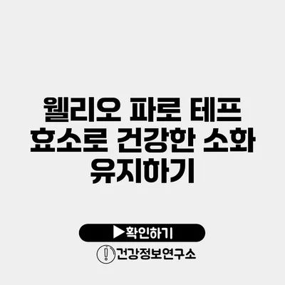웰리오 파로 테프 효소로 건강한 소화 유지하기