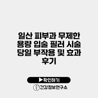 일산 피부과 무제한 용량 입술 필러 시술 당일 부작용 및 효과 후기