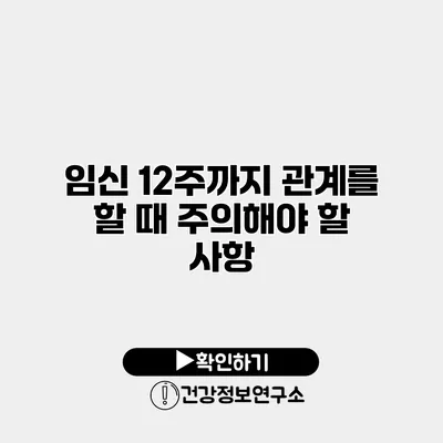 임신 12주까지 관계를 할 때 주의해야 할 사항