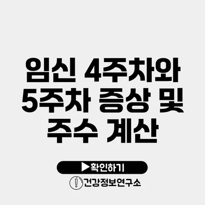 임신 4주차와 5주차 증상 및 주수 계산