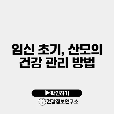임신 초기, 산모의 건강 관리 방법