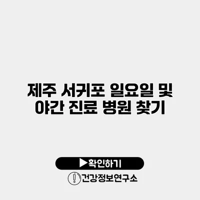 제주 서귀포 일요일 및 야간 진료 병원 찾기