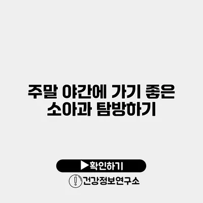 주말 야간에 가기 좋은 소아과 탐방하기