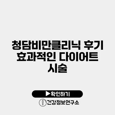 청담비만클리닉 후기 효과적인 다이어트 시술