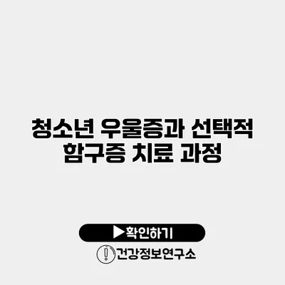 청소년 우울증과 선택적 함구증 치료 과정