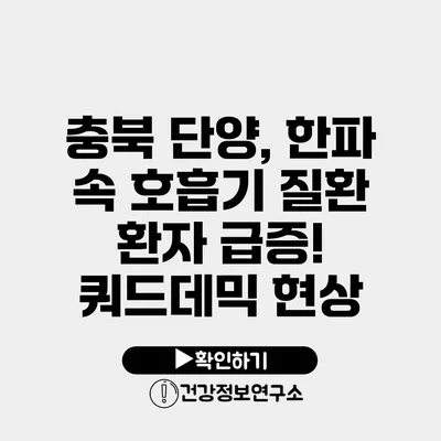 충북 단양, 한파 속 호흡기 질환 환자 급증! 쿼드데믹 현상