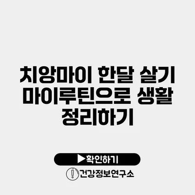 치앙마이 한달 살기 마이루틴으로 생활 정리하기