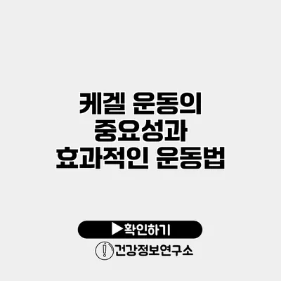 케겔 운동의 중요성과 효과적인 운동법