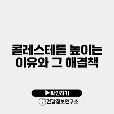 콜레스테롤 높이는 이유와 그 해결책