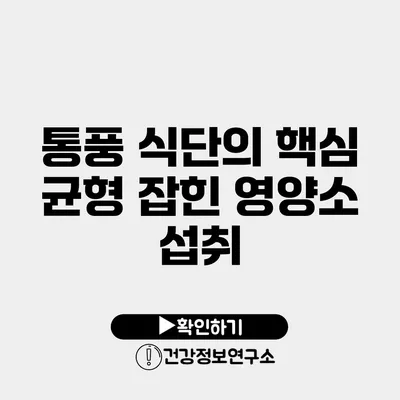 통풍 식단의 핵심 균형 잡힌 영양소 섭취
