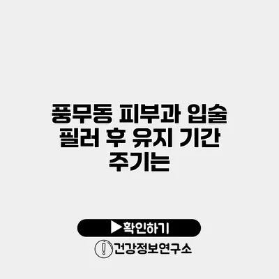 풍무동 피부과 입술 필러 후 유지 기간 주기는?